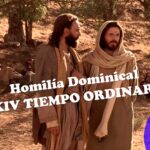 Homilía Domingo XXIV Tiempo Ordinario