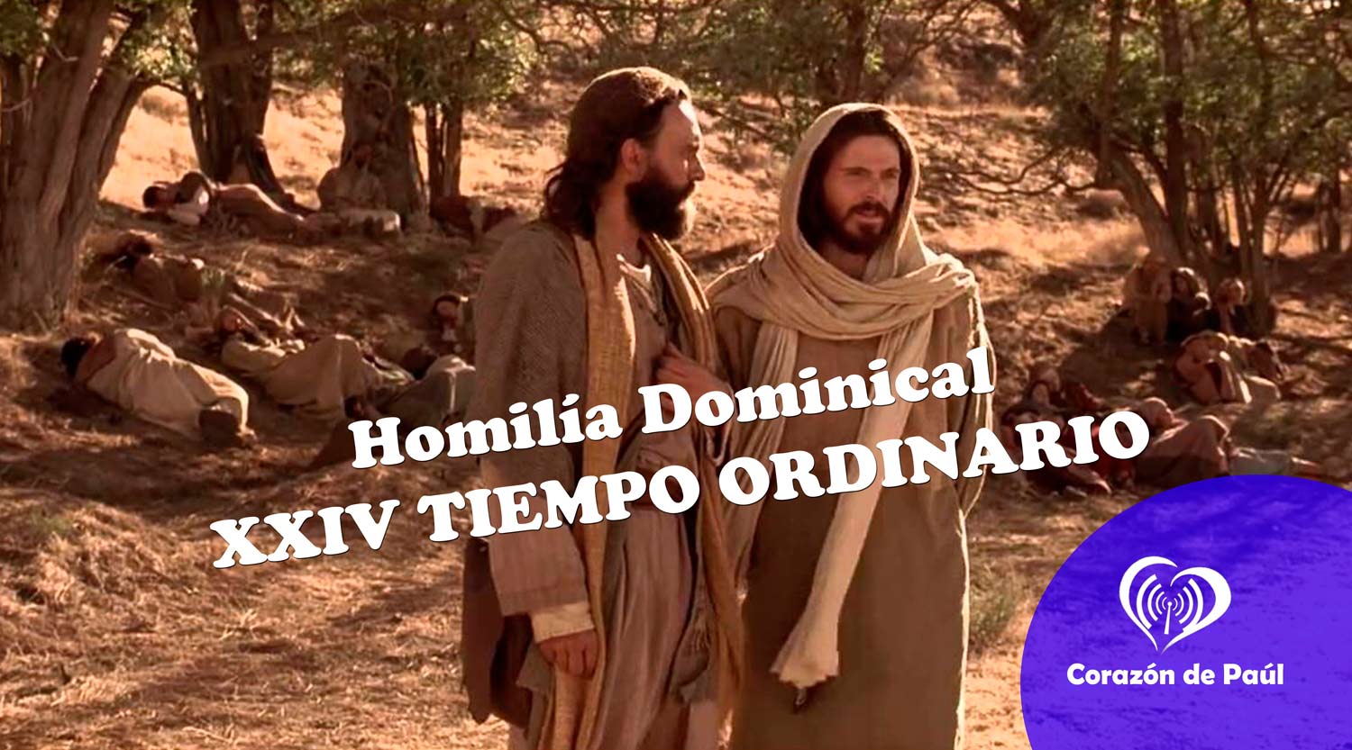 Homilía Domingo XXIV Tiempo Ordinario - Corazón De Paúl